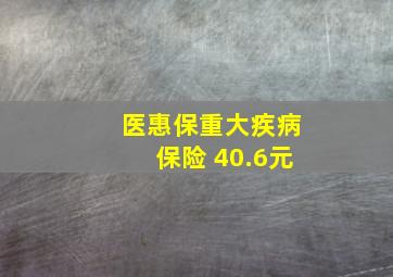 医惠保重大疾病保险 40.6元